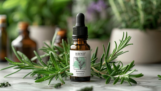 Buy Rosemary Essential Oil: Its Making, Usages and Supplier