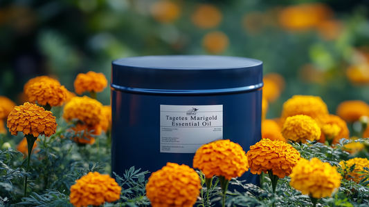 Marigold Oil: Harnessing the Power of Calendula