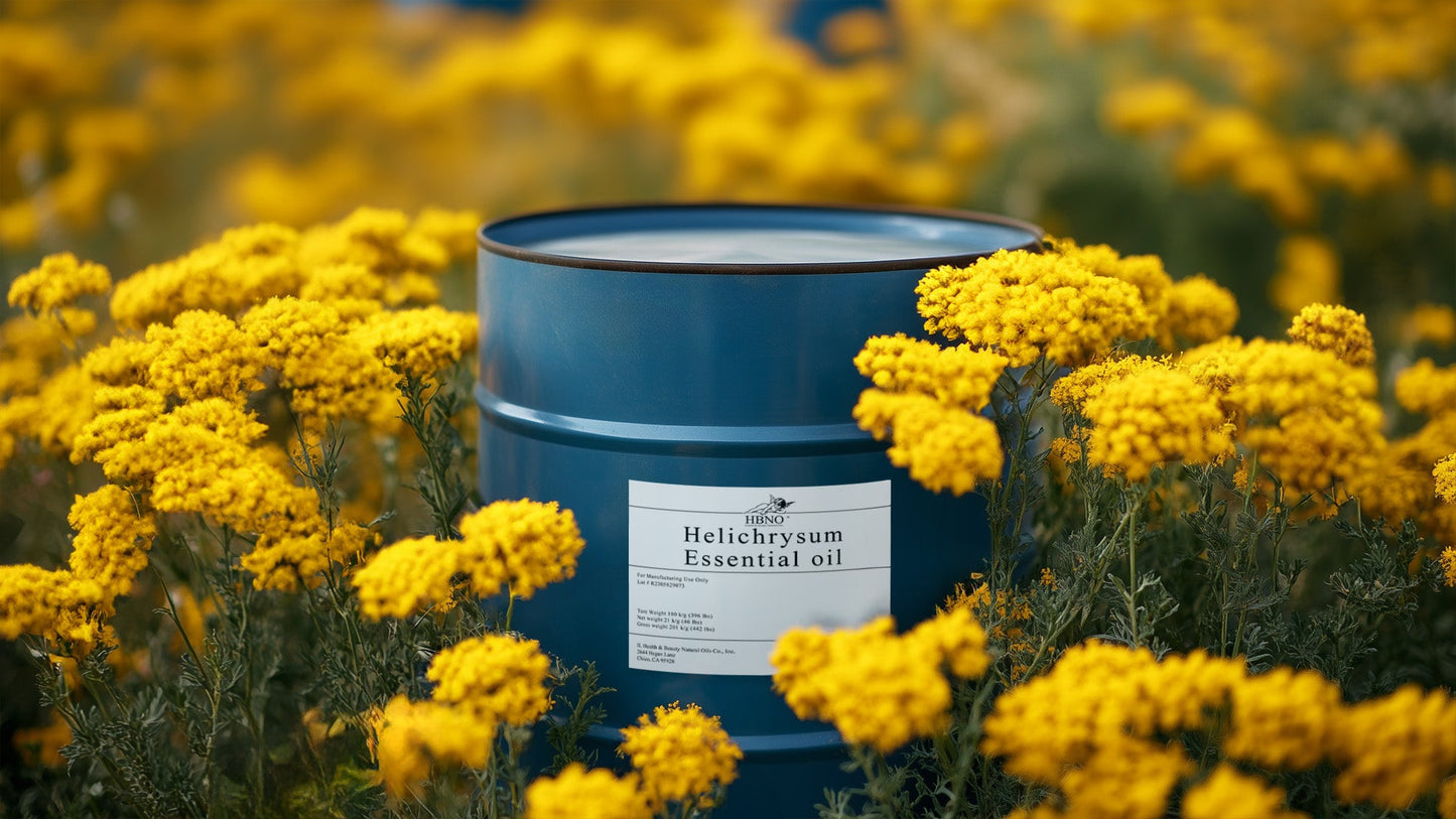 Buying Helichrysum Essential Oil: Nature's Healing Elixir