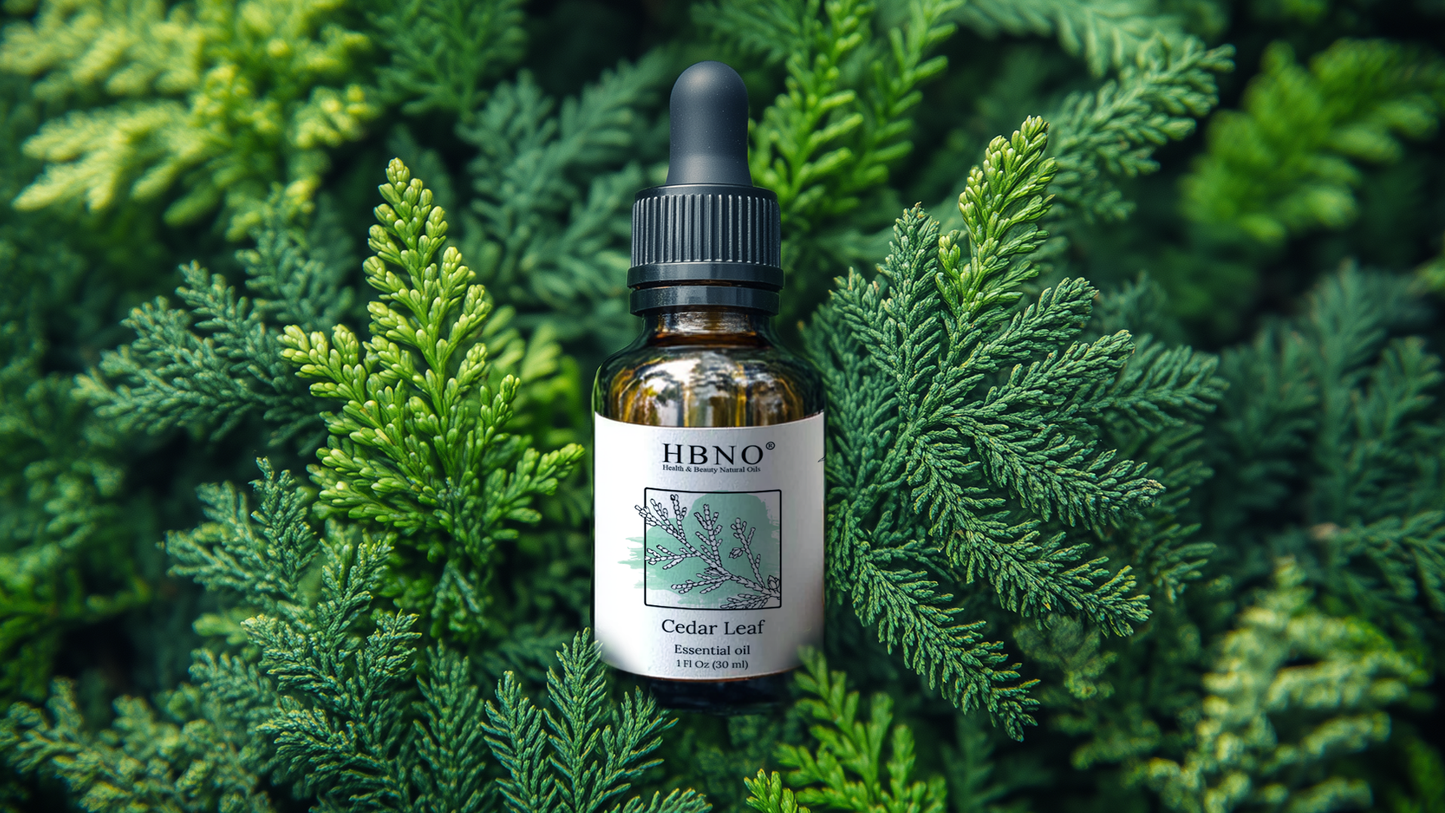 Cedar Leaf Essential Oil: Uses and Applications