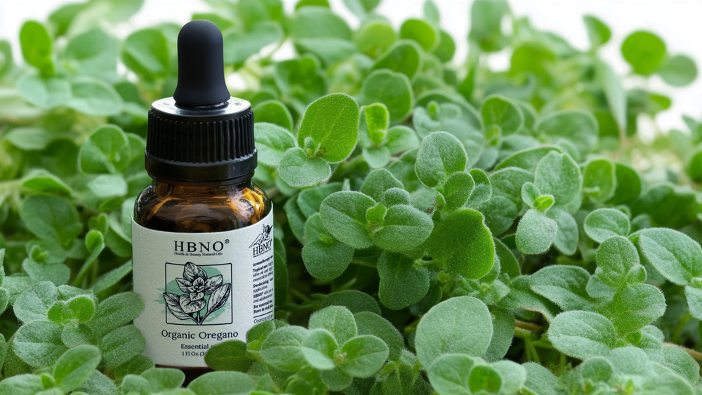 Oregano Oil Benefits: A Comprehensive Guide