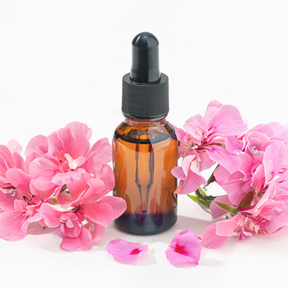 Guide to Geranium Essential Oil: Wholesale, Benefits, and Uses