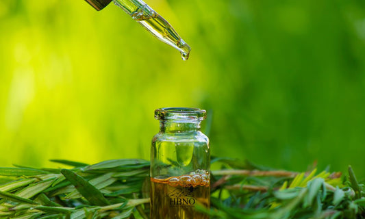 Wholesale Tea Tree Oil