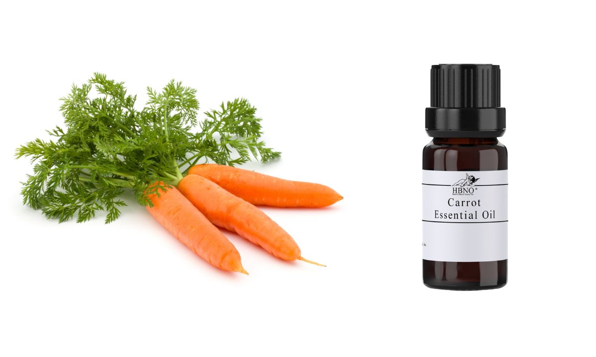 benefits of carrot essential oil