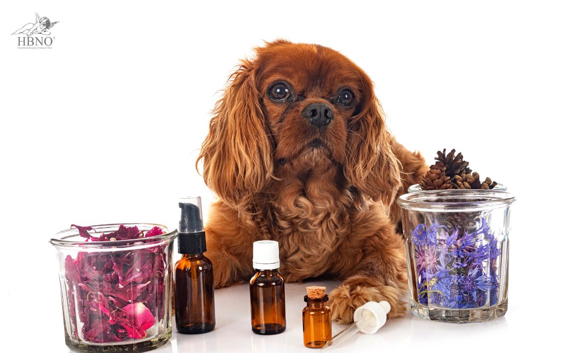 Using Essential Oils for your Pets