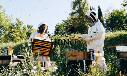 Organic Beekeepers Essential Oils