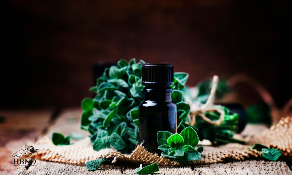 Marjoram Essential Oil