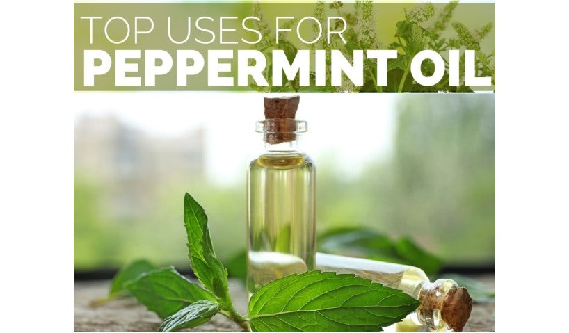6 Benefits of Spearmint Essential Oil