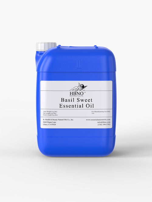 Basil Sweet Essential Oil